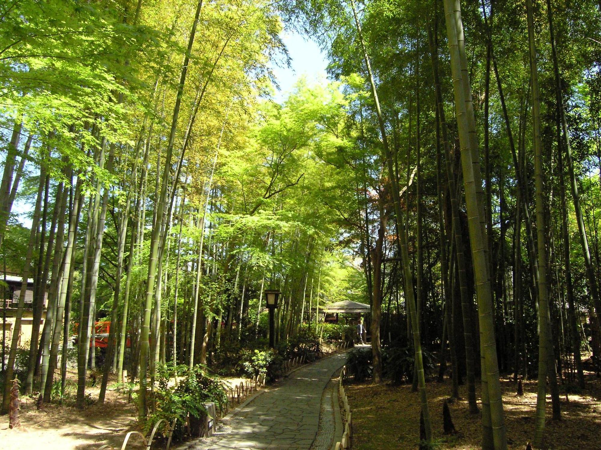 Izu Marriott Hotel Shuzenji מראה חיצוני תמונה