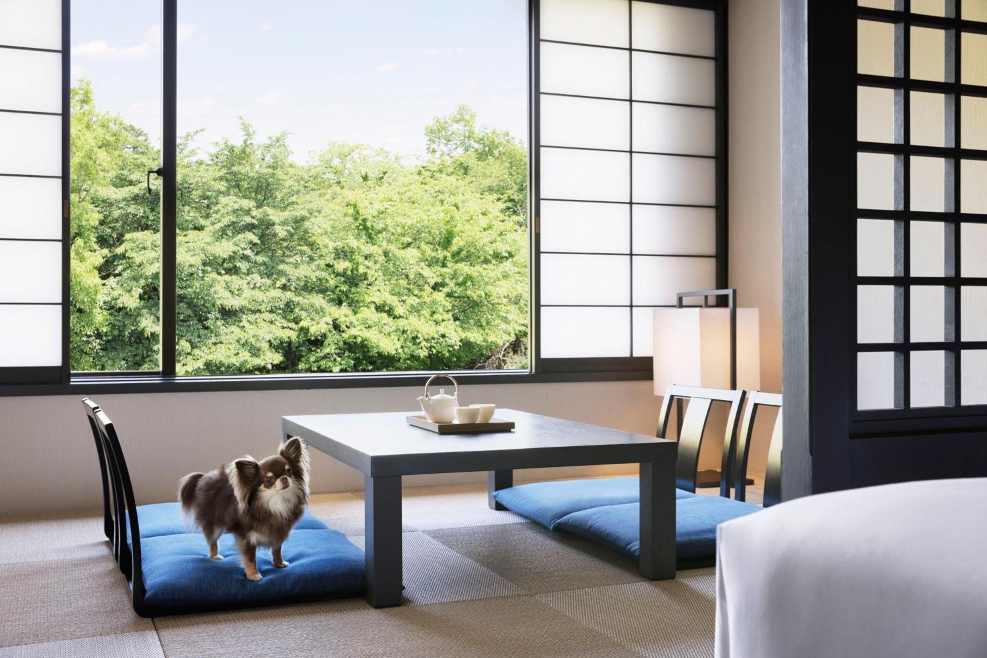 Izu Marriott Hotel Shuzenji מראה חיצוני תמונה